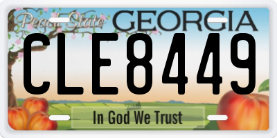 GA license plate CLE8449