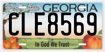 GA license plate CLE8569