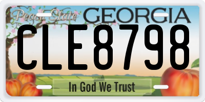 GA license plate CLE8798