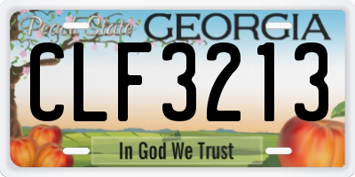 GA license plate CLF3213