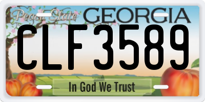 GA license plate CLF3589