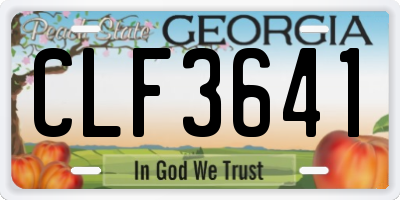 GA license plate CLF3641