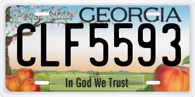 GA license plate CLF5593