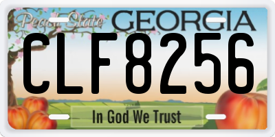 GA license plate CLF8256