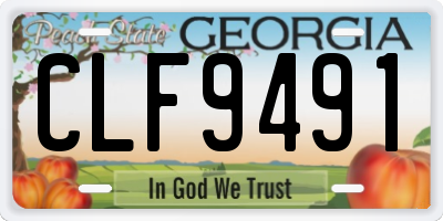 GA license plate CLF9491