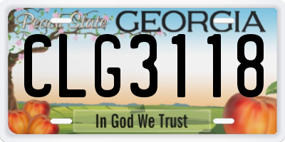 GA license plate CLG3118