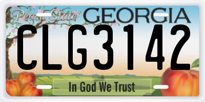 GA license plate CLG3142