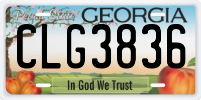 GA license plate CLG3836