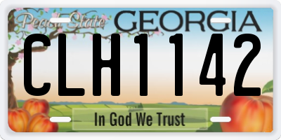 GA license plate CLH1142