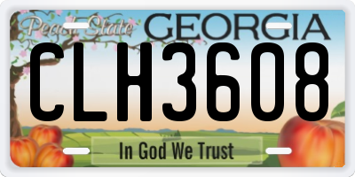 GA license plate CLH3608