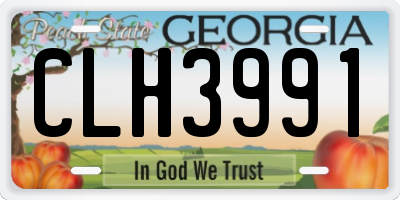 GA license plate CLH3991