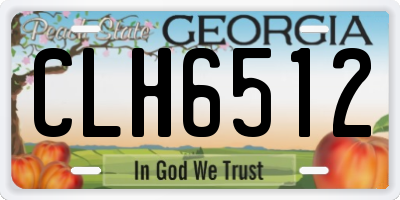 GA license plate CLH6512