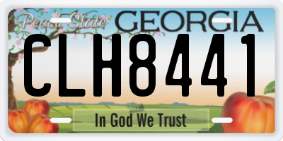 GA license plate CLH8441
