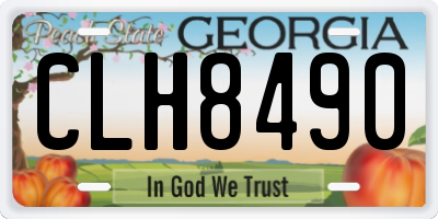 GA license plate CLH8490
