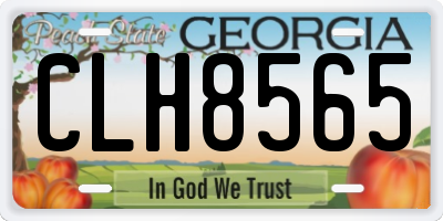 GA license plate CLH8565