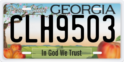 GA license plate CLH9503