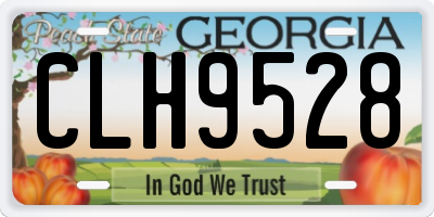GA license plate CLH9528