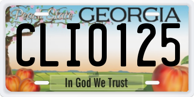 GA license plate CLI0125