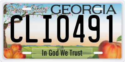 GA license plate CLI0491