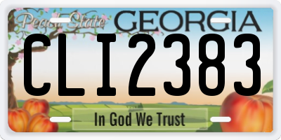 GA license plate CLI2383