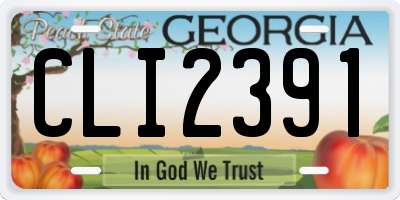 GA license plate CLI2391