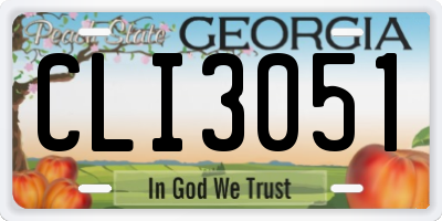 GA license plate CLI3051