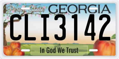 GA license plate CLI3142