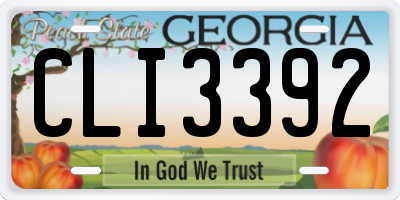 GA license plate CLI3392