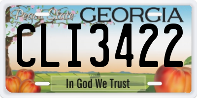 GA license plate CLI3422