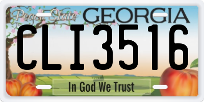 GA license plate CLI3516
