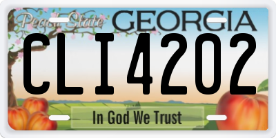 GA license plate CLI4202
