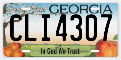 GA license plate CLI4307