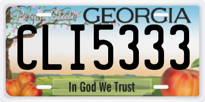 GA license plate CLI5333