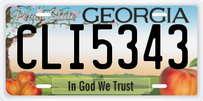 GA license plate CLI5343