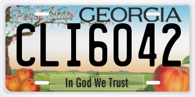 GA license plate CLI6042