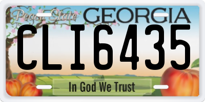 GA license plate CLI6435