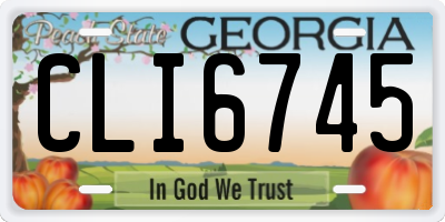 GA license plate CLI6745