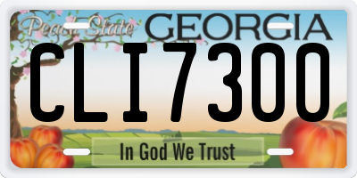 GA license plate CLI7300