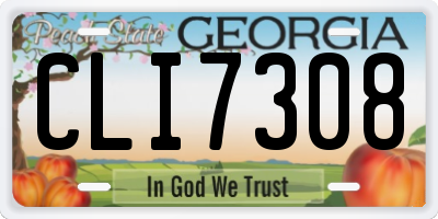 GA license plate CLI7308