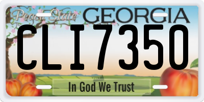 GA license plate CLI7350