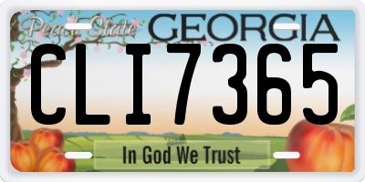 GA license plate CLI7365