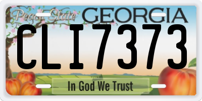 GA license plate CLI7373