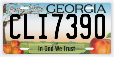GA license plate CLI7390