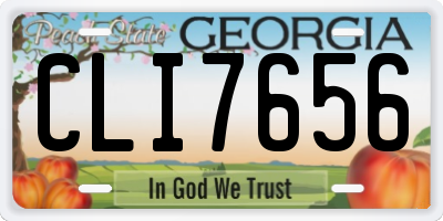 GA license plate CLI7656
