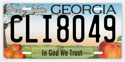 GA license plate CLI8049