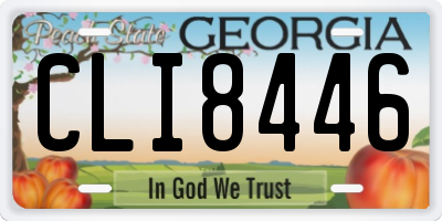 GA license plate CLI8446