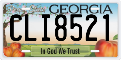 GA license plate CLI8521