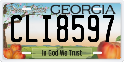 GA license plate CLI8597