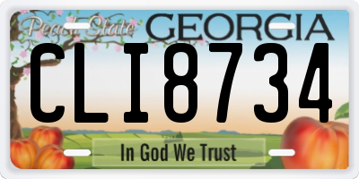 GA license plate CLI8734