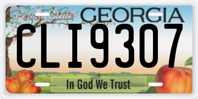 GA license plate CLI9307